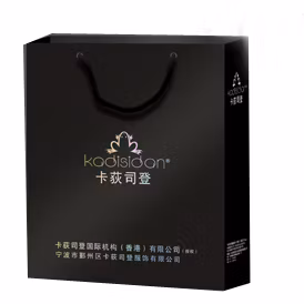 Saco de presente de luxo Embalagem de papel personalizado Saco de compras/saco de papel para roupas